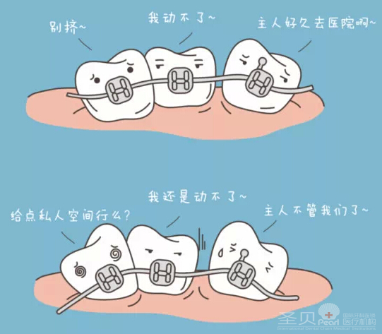 成都圣贝正畸怎么样