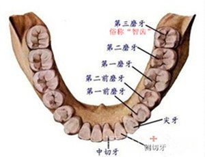 拔牙前需要做什么检查